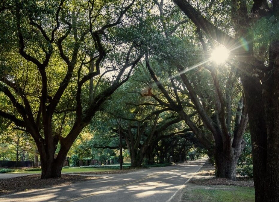 Why Aiken is the “Coolest” Place to Vacation this Summer