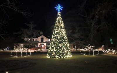 The 10 Best Things to Do in Aiken at Christmas 2022