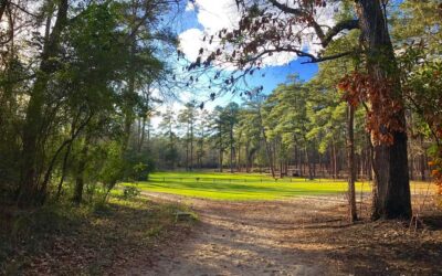 11 incredible strolls in Aiken to get your daily 10,000 steps